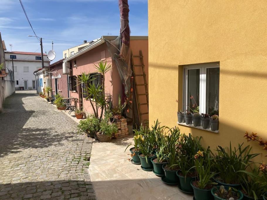 Casa Nova Villa Apúlia Eksteriør bilde